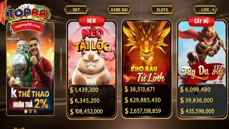 Giới thiệu tổng quan về mèo tài lộc